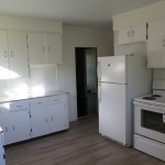 8121 84 Ave kitchen 2