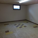 the basement rec room